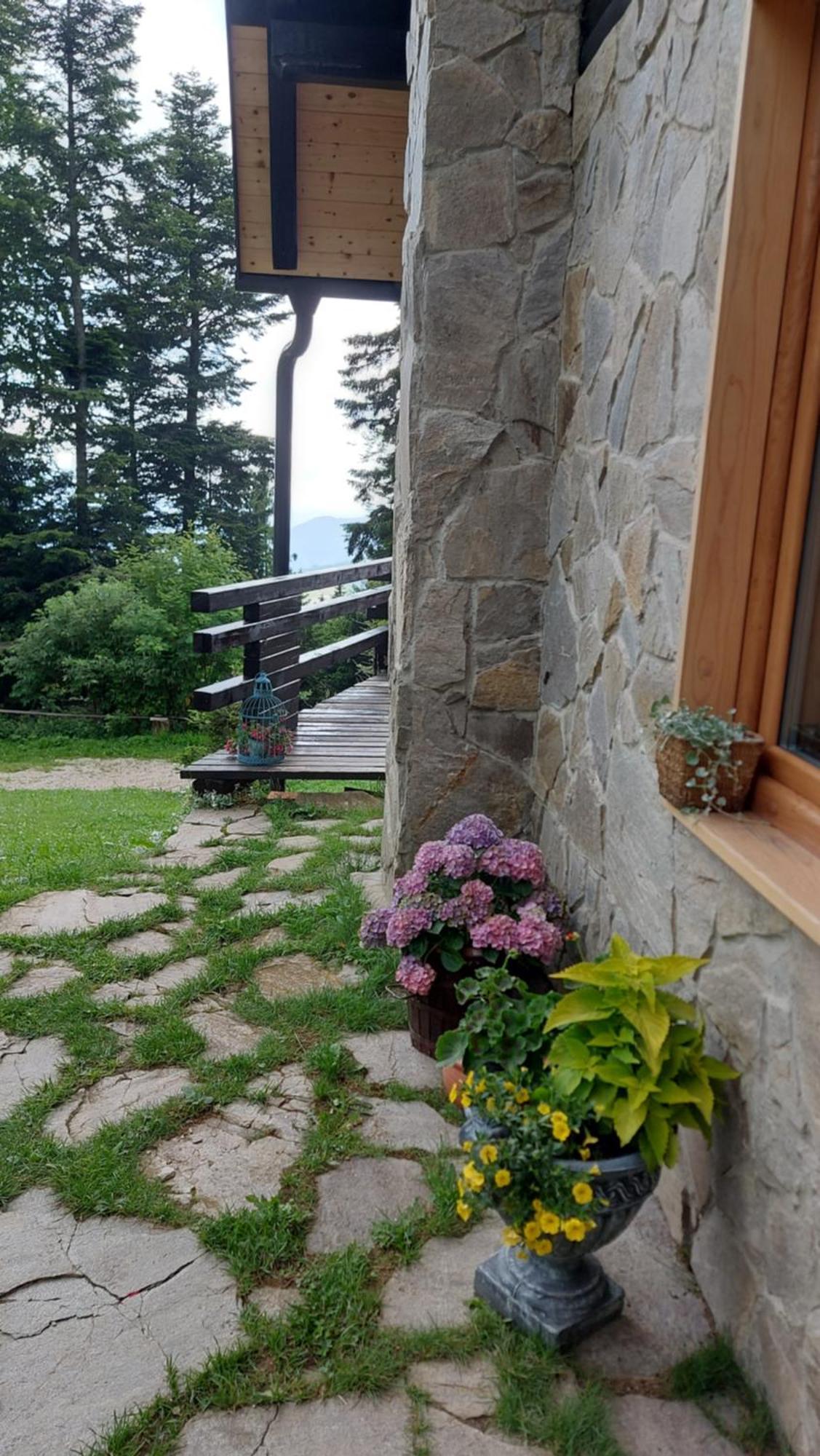Rogla - Chalet Mojca Pokrajculja Zrece Luaran gambar