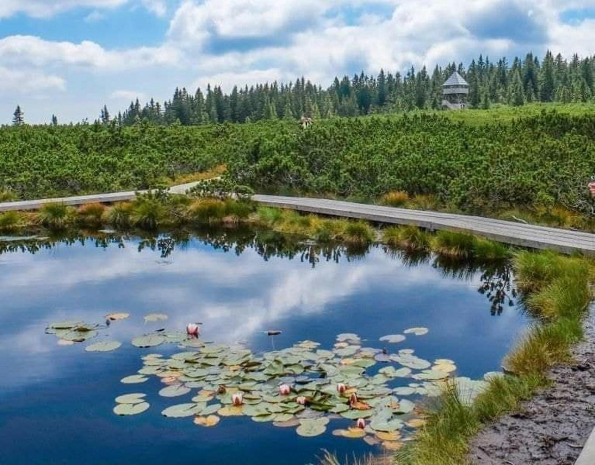 Rogla - Chalet Mojca Pokrajculja Zrece Luaran gambar
