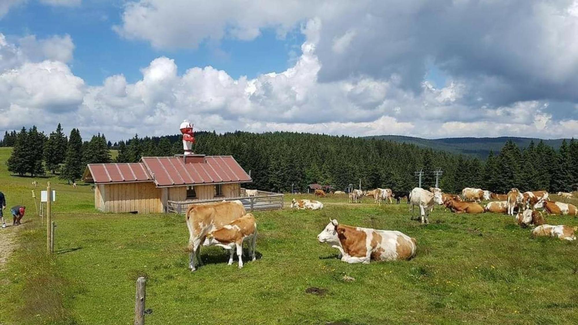 Rogla - Chalet Mojca Pokrajculja Zrece Luaran gambar