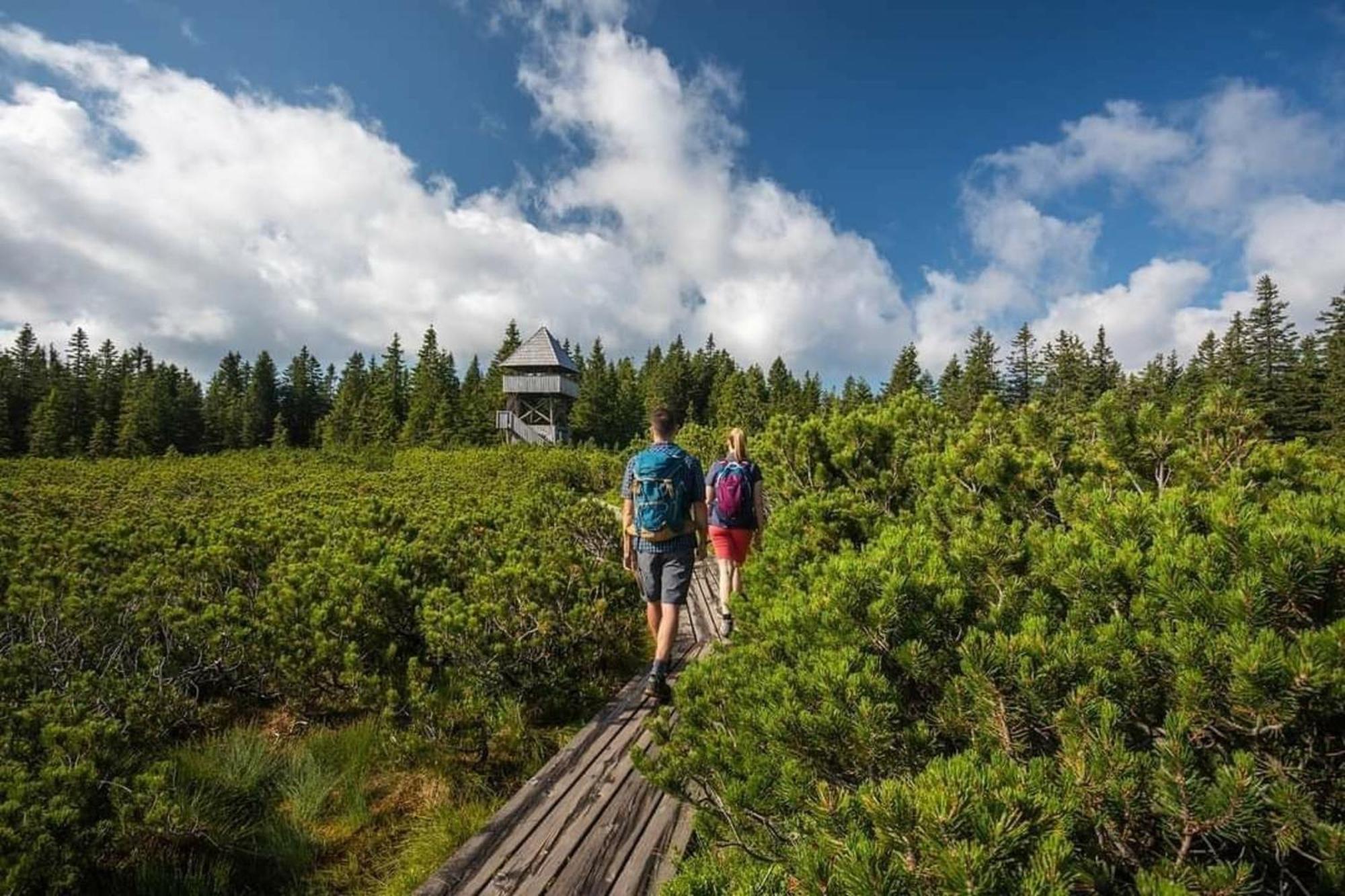 Rogla - Chalet Mojca Pokrajculja Zrece Luaran gambar