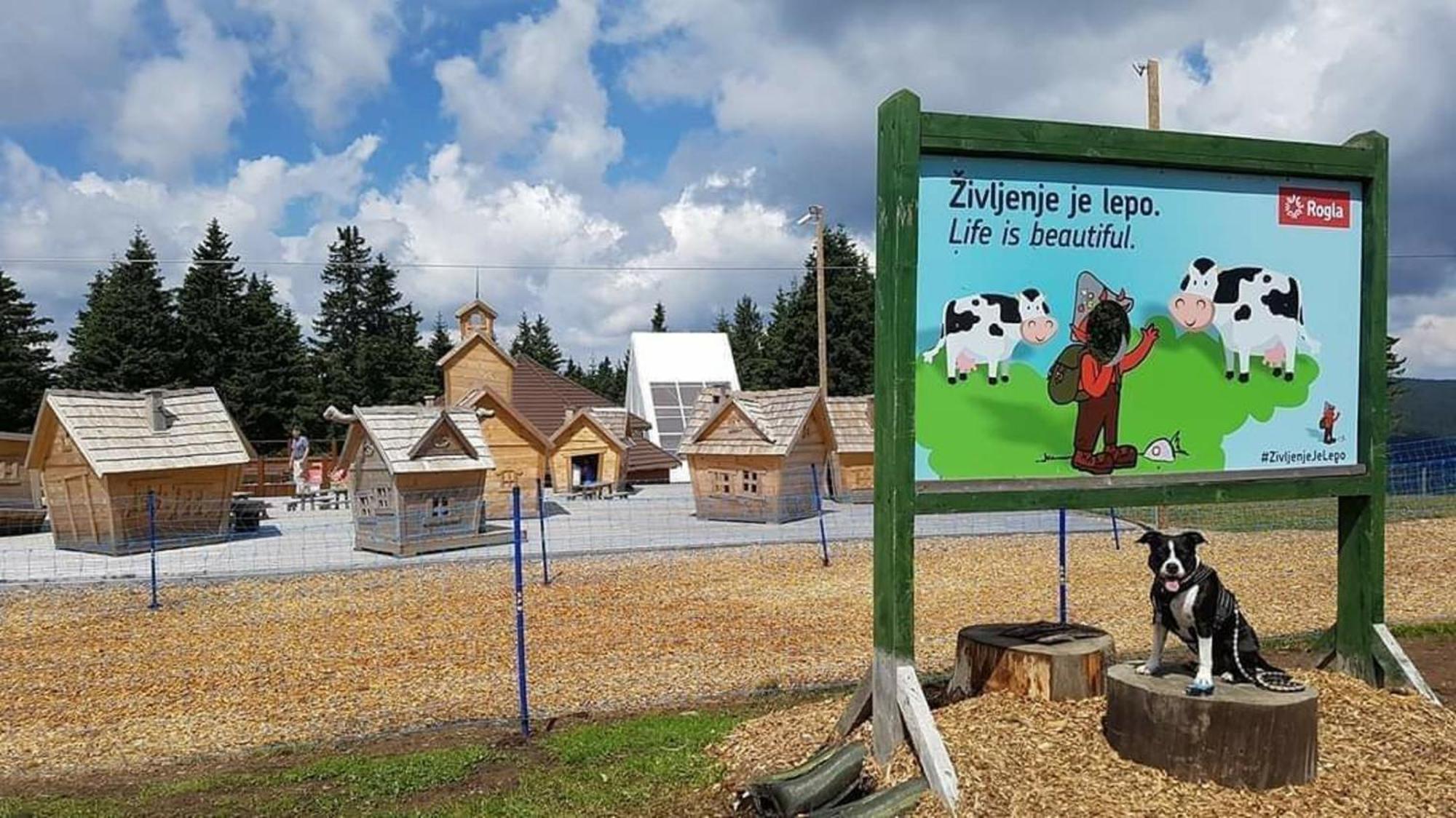 Rogla - Chalet Mojca Pokrajculja Zrece Luaran gambar