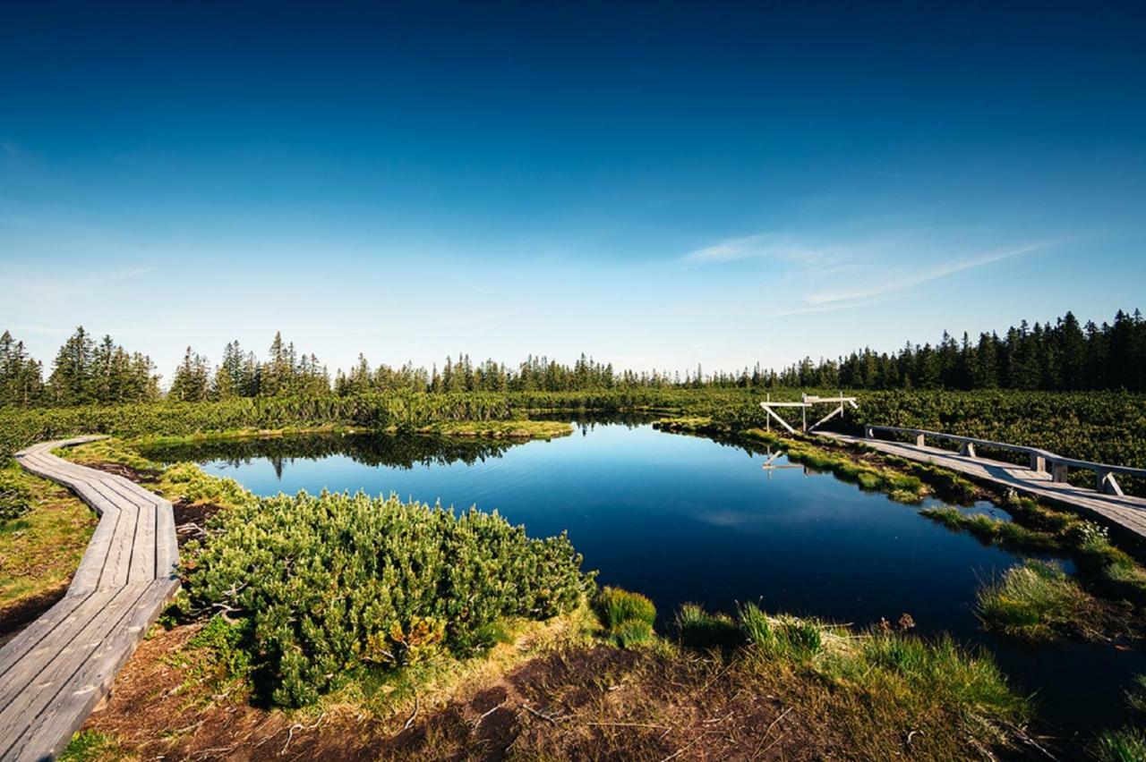 Rogla - Chalet Mojca Pokrajculja Zrece Luaran gambar