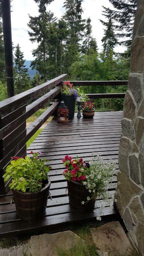 Rogla - Chalet Mojca Pokrajculja Zrece Luaran gambar